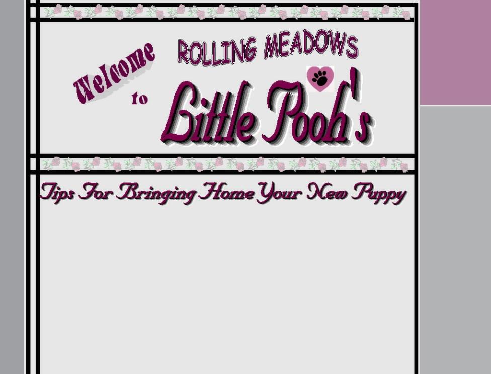 Information Page Home - Rolling Meadows Puppies
