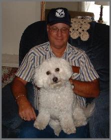 Bichon Frise Adult